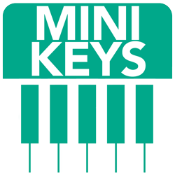 Mini Size Keys