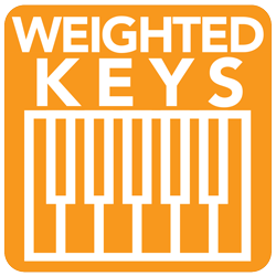 Piano Action Weighted Keys